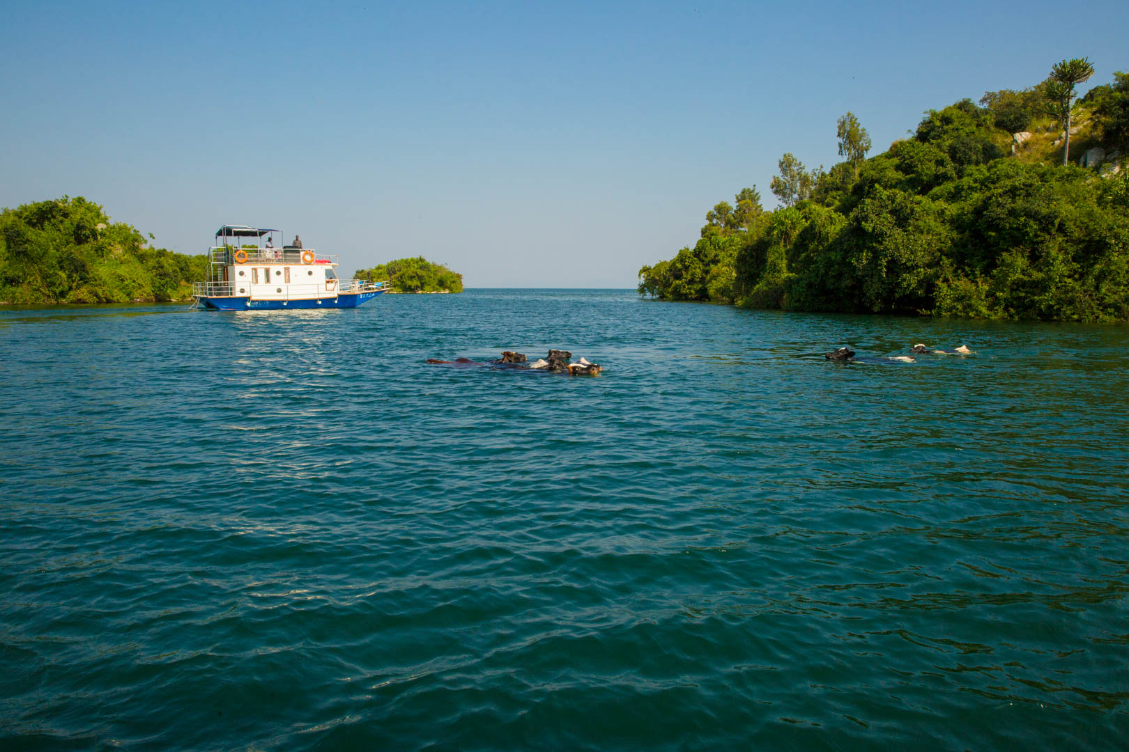 Kivu Heritage Tours — Redefining Rwanda’s Travel Experience