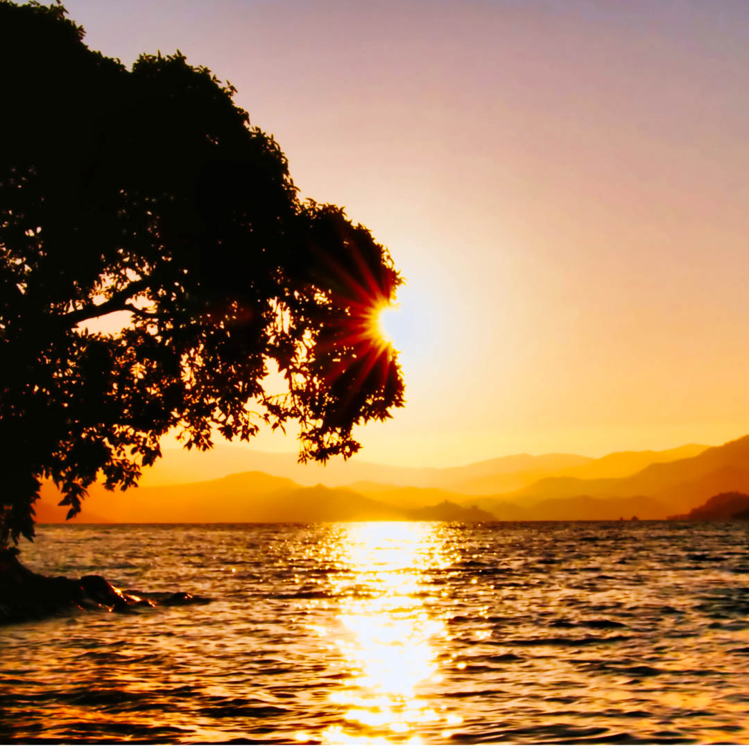 Kivu Heritage Tours — Redefining Rwanda’s Travel Experience